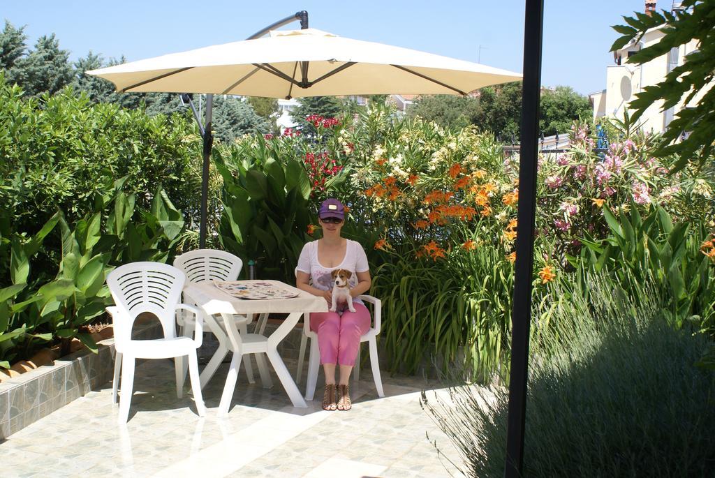Aparthotel Viola Pjescana Uvala Cameră foto